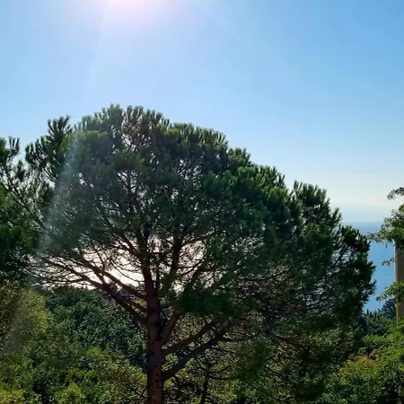 公寓 Lana Adriatic 奥帕提亚