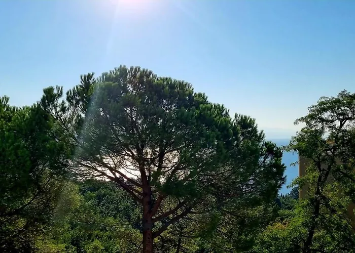 公寓 Lana Adriatic 奥帕提亚